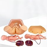 Modelo de simulación de parto para entrenamiento de partería, incluye 2 fetos, cordón umbilical, placenta y bolsa de transporte para una práctica integral de habilidades