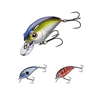 E-1 クランクベイト　WEC クラシックカラー　10年製　カバークランク E-1 クランクベイト WEC クラシックカラー 10年製 カバー