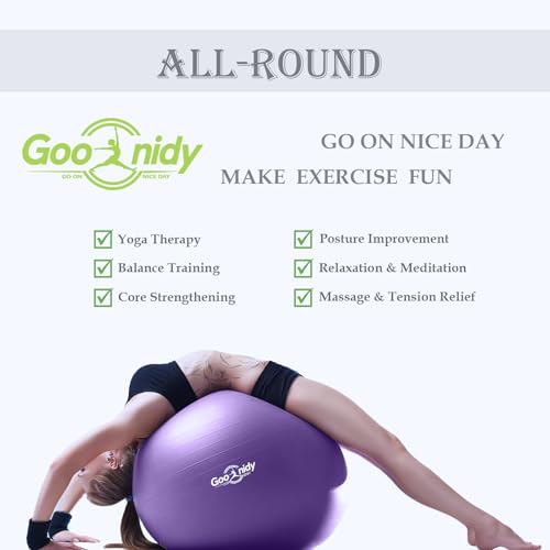 Image of Soft Exercise Ball, Anti-Burst Pilates Yoga Ball Chair Supports 2200lb, Workout Equipment w / Pump for Women Pregnancy, Medicine, Birthing, Physical Therapy, Stability, Excersing, Birth, Swiss, Fitness