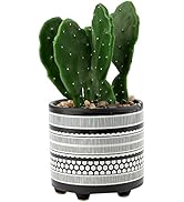 Small manufacture image 28