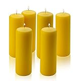 Citronella Pillar Candle - Set of 6 Citronella Candles - 6 inch Tall, 2 inch Thick - 36 Hour Burn Time for Indoor/Outdoor Use