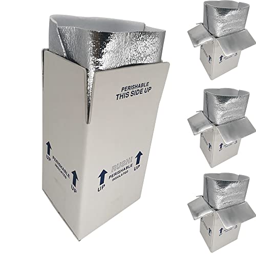 Ch-Box Thermo Chill Double Insulated Carton With Aluminum Foil Foam Bag Liner, 4 Pack 7'' X 6'' X 10'' Small Shipping Box Mailer, Perishable Shipper For Mailing, White (Tb7610L-4) #TOP9