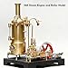 SE-03 DIY Stationary Mill Steam Engine Model Kit, Working Miniature with Boiler, Generator & Lamp Stand, Educational Steampunk Collection (38 PCS)