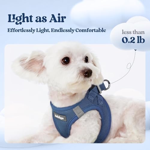 Image of rabbitgoo Dog Harness Small Sized and Leash Set, Step-in Puppy Pet Vest