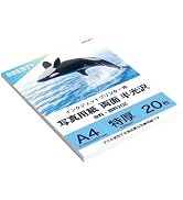 Amazon | BBEST 写真用紙 光沢紙 A4 薄手 紙厚0.15㎜ 大容量 100枚入