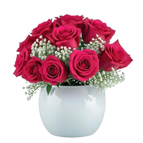 18 Hot Pink Roses with Baby's Breath