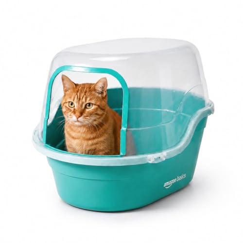 Image of Amazon Basics Semi Enclosed Cat Litter Box | Large Litter Tray | Easy Clean Cat Washroom for Indoor Cats | Green & Transparent | 42 X 49 X 63 cm | Suitable for Kittens & Adult Cats