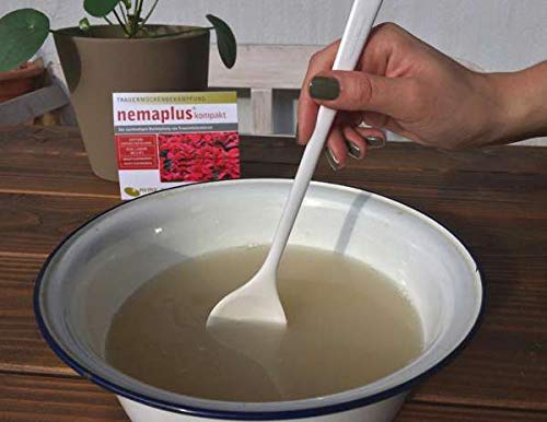 nemaplus® SF Nematoden ter bestrijding van rouwmuggen - 3 miljoen voor 6 m² potgrond of 30 planten - Image 6