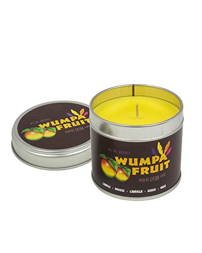 Preisvergleich Produktbild Crash Bandicoot Wumpa Fruit Candle