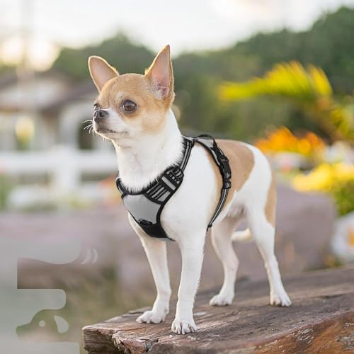 Eagloo Hundegeschirr Kleine Hunde, Anti Zug Hundegeschirr mit Reflexstreifen und Kontrolle, Verstellbar, Einstellbar und Langlebige Brustgeschirr Hund, Geeignet zum Gehen und Joggen, Grau, XS