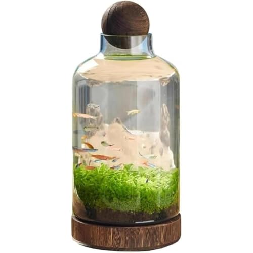 aKXb{gEiόpbؐgCEDearolling GRfށbk͔|Eώ@bƒp (B)