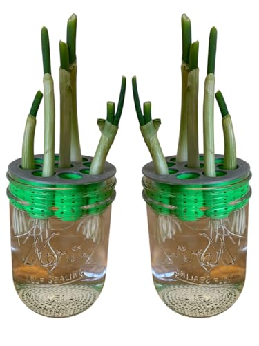 2-Pack Original Green Onion Farms (Yellow Solid)