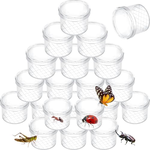 Amazon.com: Sumind 20 Pcs Critter Keeper Bug Magnifier Insect Container ...