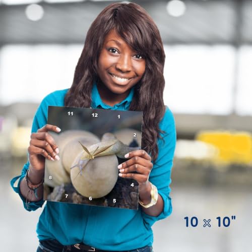 Reloj de pared analógico 3D Rose aluminio 10 pulgadas miniatura 5