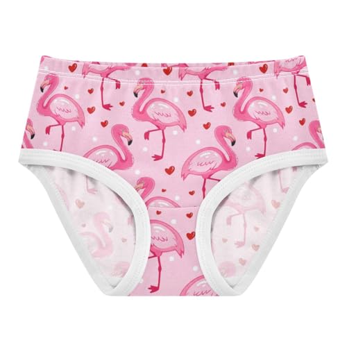 Joisal Cute Cartoon Flamingos Pink Little Girl Panties Toddler Underwear Floral Cotton Fun Undies Kids Briefs 2t