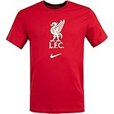 evergreen human resources ag jan lucarelli offizielles Lizenzprodukt Nike FC Liverpool Evergreen T-Shirt (L, red)