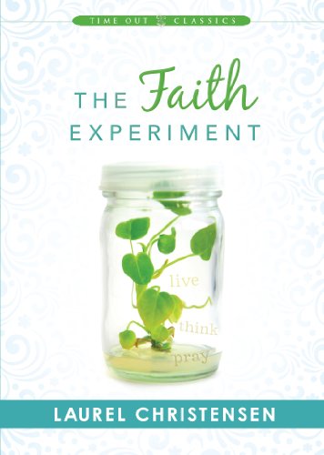 The Faith Experiment view 2