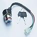 KIPA 6-Wires Key Ignition Switch for Kazuma Meerkat 50CC Falcon 90CC 110CC 125cc RedCat ATV Quad