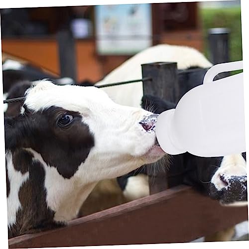 Didiseaon 1 Conjunto Alimentador Para Animais De Estimação Gatinho Garrafas De Alimentação Garrafa D