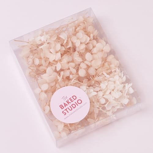 The Baked Studio - Original Dried Flower Hydrangea Set For Cake & Cupcake Decorating & Others Crafts (Dusky Peach) - Image 2