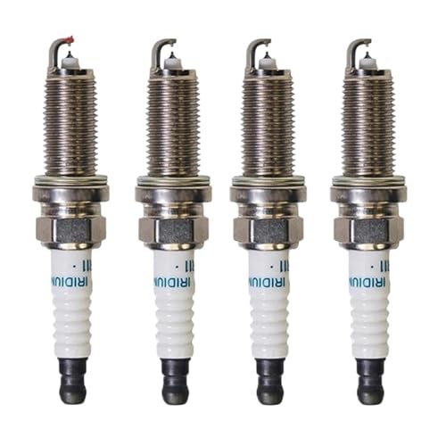 SDJDGHiXfBWFCj CWE Xp[NvO Y W[N o[T L[u }CN eB[_ GNXgC Zg m[g LVJC 22401ED71B 4{