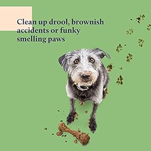 Kenn  kitt dog grooming wipes | gentle moisturizing hypoallergenic dog wipes with skin soothing aloe vera | puppy wipes for face and paws | dog ear wipes | dog eye wipes | pet wipes | 100 count   cucciolini doodles