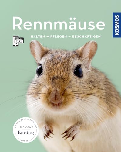 Rennmäuse: halten, pflegen, beschäftigen (Mein Tier)