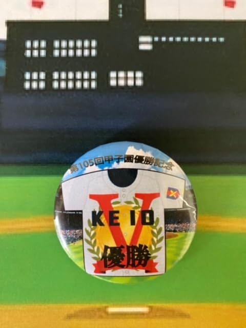 105個全国高校サッカー選手権大会記念ピンバッジ 希少 全国高校