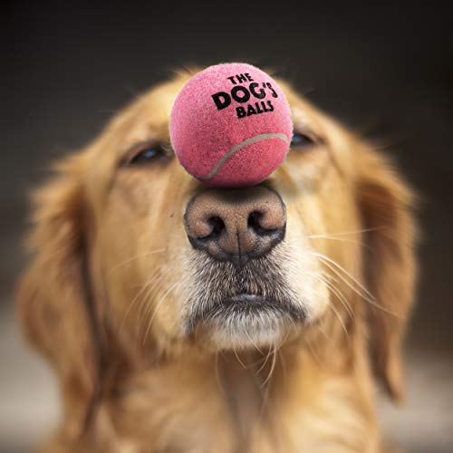 The Dog's Balls, Dog Tennis Balls, 12-Pack Pink Dog Toy, Strong Dog & Puppy Ball For Training, Play, Exercise & Fetch #TOP2