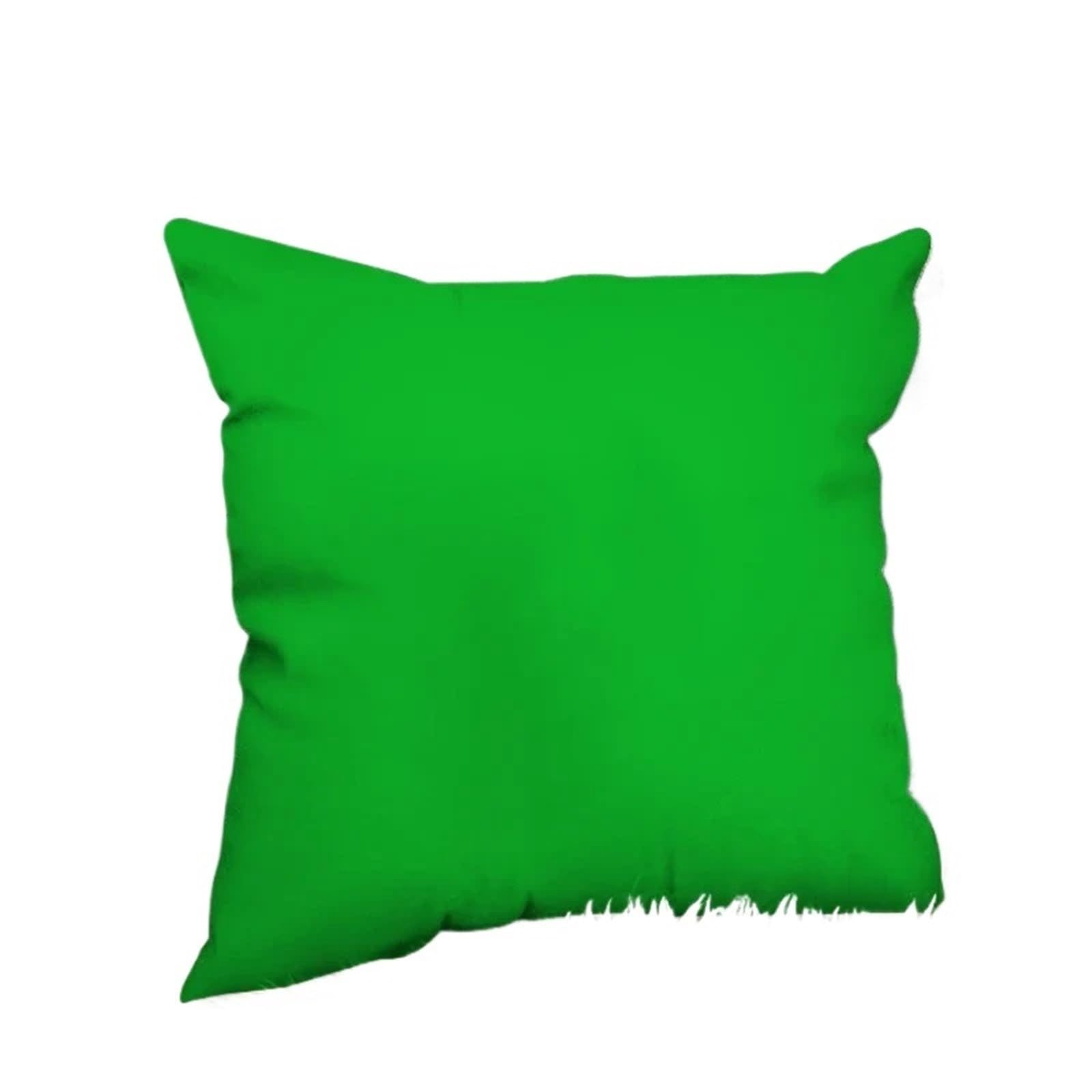 SHBHWS Solid Color Pillowcase Silk Pillowcases For Pillows 45x45 Pillow Cases Decorative Fall Decor Cushion Cover 40x40cm For Living Room Sofa(Green,40x40cm)