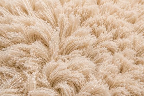 Image of Shaggy Carpet 5x7 Ft for Living Room & Bedroom (Ivory)