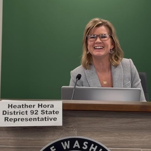Washington Chamber Presents Legislative Brief with District 92 Iowa State Rep Heather Hora