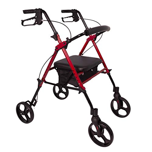 The 8 Best ProBasics Rolling Walkers of 2024 [Verified] Cherry Picks