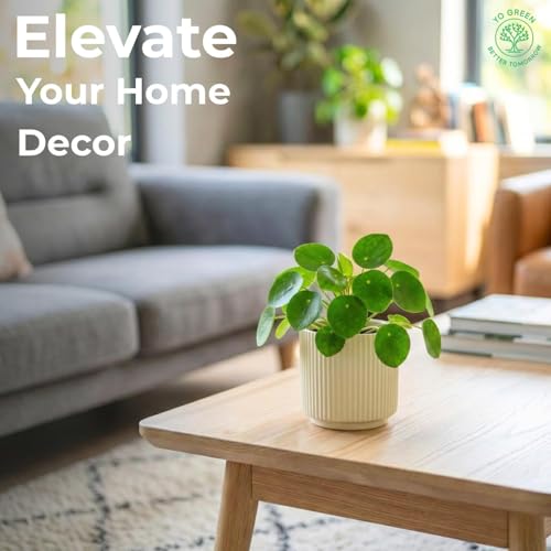 Image of Yo Green Modern Ribbed Ceramic Planter Pot | White Matte Indoor Plant Pot for Home, Office & Living Room Decor (Ribbed Design-4 Inch-Yellow)