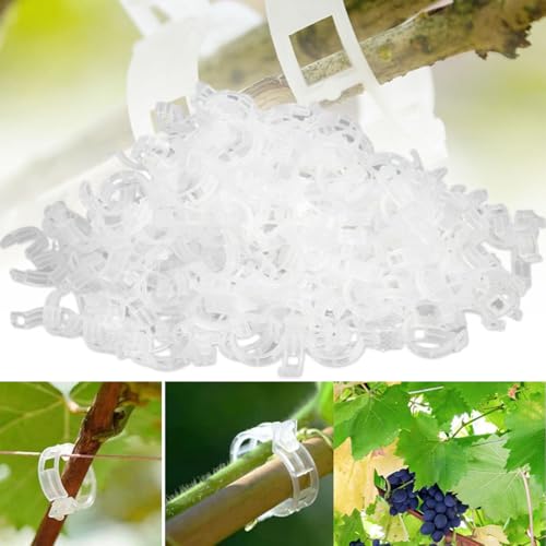 100 Pcs Pflanzenclips Kletterhilfe Pflanzen, Pflanzenklammern...