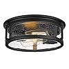 FOITTON Industrial Flush Mount Ceiling Light, 2-Light Farmhouse Metal Cage Ceiling Lights for Hallway,Kitchen,Stairways,Bedroom,Matte Black Finish FOITTON Industrial Flush Mount Ceiling Light, 2-Light Farmhouse Metal Cage Ceiling Lights for Hallway,Kitchen,Stairways,Bedroom,Matte Black Finish
