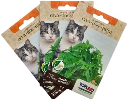 Kit 5 Sementes Erva De Gato Felino Catnip Envelope 250mg