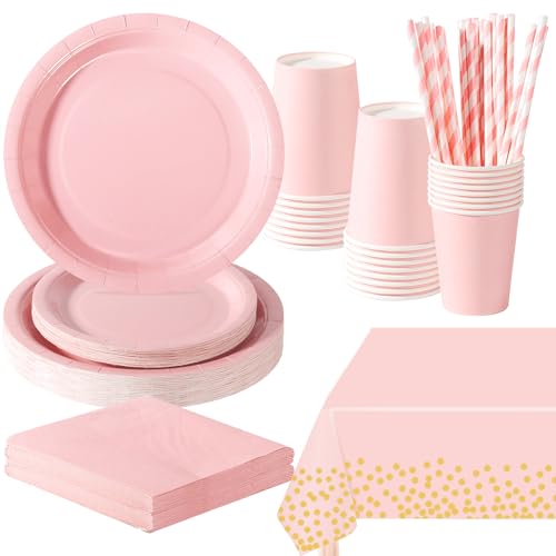 PYAILI Anniversaire Vaisselle de fete 121 Pièces Rose Morandi Party Assiettes en Papier Set Assiettes de Fête Papier Tasses Serviettesr, pour Barbecue les...
