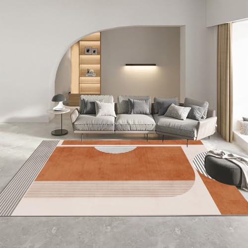 �uFrisence�v�􂦂� ���O �J�[�y�b�g �}�C�N���t�@�C�o�[ �ӂ��� ����~�� �h�� �h�� ���g�[&�z�b�g�J�[�y�b�g�Ή��Ή� �V���v�� ���r���O �Q�� �q������ 120×160cm FRISY35-D50