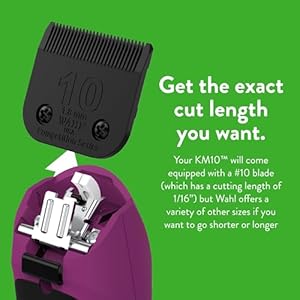 Wahl Professional Animal KM10 2-Speed Brushless Motor Pet, Dog, and Horse Clipper Kit – Berry