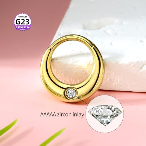 Nose Rings Hoops for Women-G23 Solid Titanium and 316L Surgical Steel Segment Septum Nose Rings sets,Helix Piercing Jewelry Cartilage Clicker Hoop Earrings for Rook,Daith,Tragus,Hypoallergenic — view 4