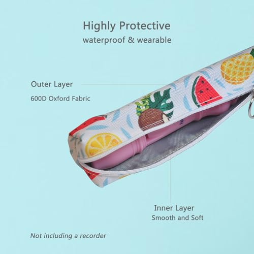 Farcaya Estojo para gravador apenas para armazenamento Soprano Descant Recorder Flauta Instrumento M