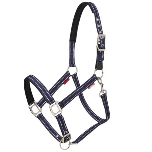 Halter sangle en nylon réfléchissant avec rembourrage néoprène