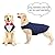 Dog Tuxedo, Dog Suit and Bandana Set Pet Clothes Formal Shirt Doggie Costume Outfit for Wedding Party Festival Halloween Christmas Birthday for Small Medium Large Dogs (Blue, M)