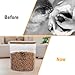 Morezi Dog Treat Container Treats Jar Wood Rubber Seal Lids and Scoop Plastic Pet Food Container for Kibble Biscuits Snacks for Dogs in Countertop
