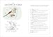Bird Anatomy: The Curious Lives of the World's Feathered Creatures