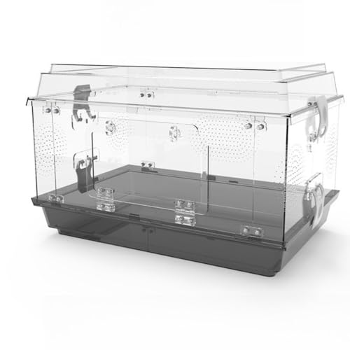 ঒��ރP�[�W�A�A�N����঒��ރP�[�W�A360°�����Ō�����A�E�o�h�~���S���b�N�A�ʋC�E�A�ςݏd�ˉ\�ȃf�U�C���A�g�ݗ��ĕs�v�A�J�G���A�J���A�w�r�A�����ȂǂɓK���Ă��܂��A47x30x30.5 cm�A�i�����O���[�jYoulines (B)