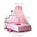 BCBYou Pink Princess Bed Canopy Netting Mosquito Net Round Lace Dome for Twin Full and Queen Size Beds Crib with Jumbo Swag Hook