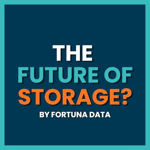 Why the World Is Running Out of Data Storage