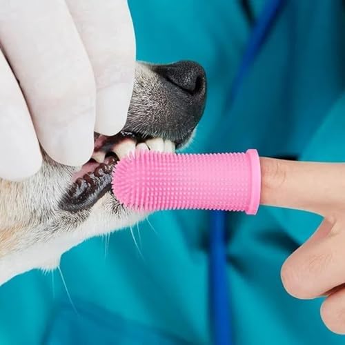 15Pcs Dog Toothbrush, 360º Pets Teeth Cleaning Toothbrush, for Dogs and Cats Dental Care - Image 6